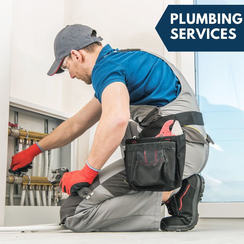 Viborg Plumbing Company